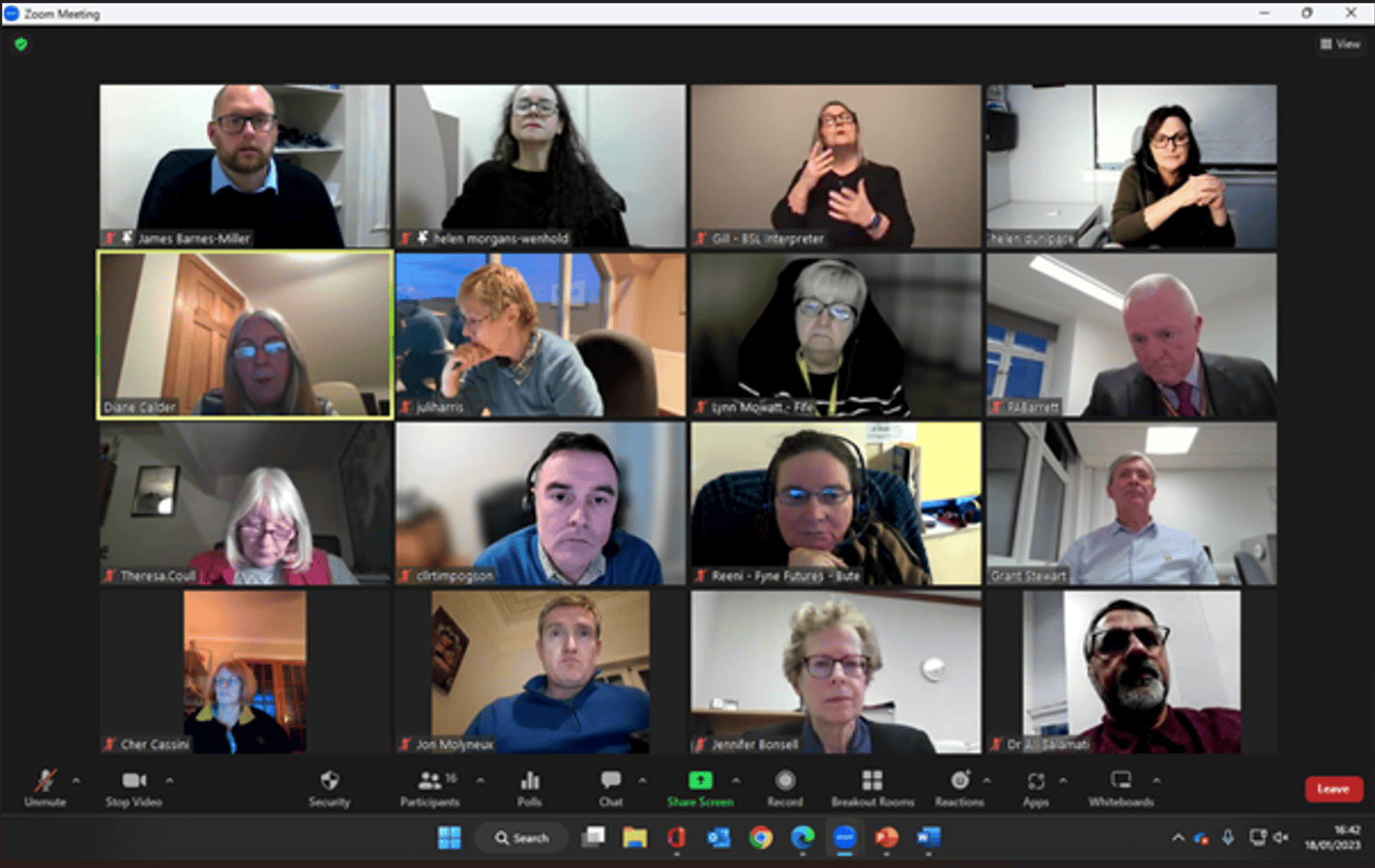 Virtual meeting discussing the BSL (Scotland) Act 2015 with diverse participants.