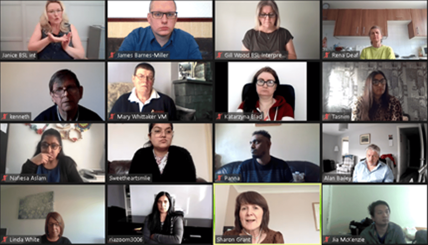Group of diverse individuals participating in a virtual meeting about BSL (Scotland) Act 2015.