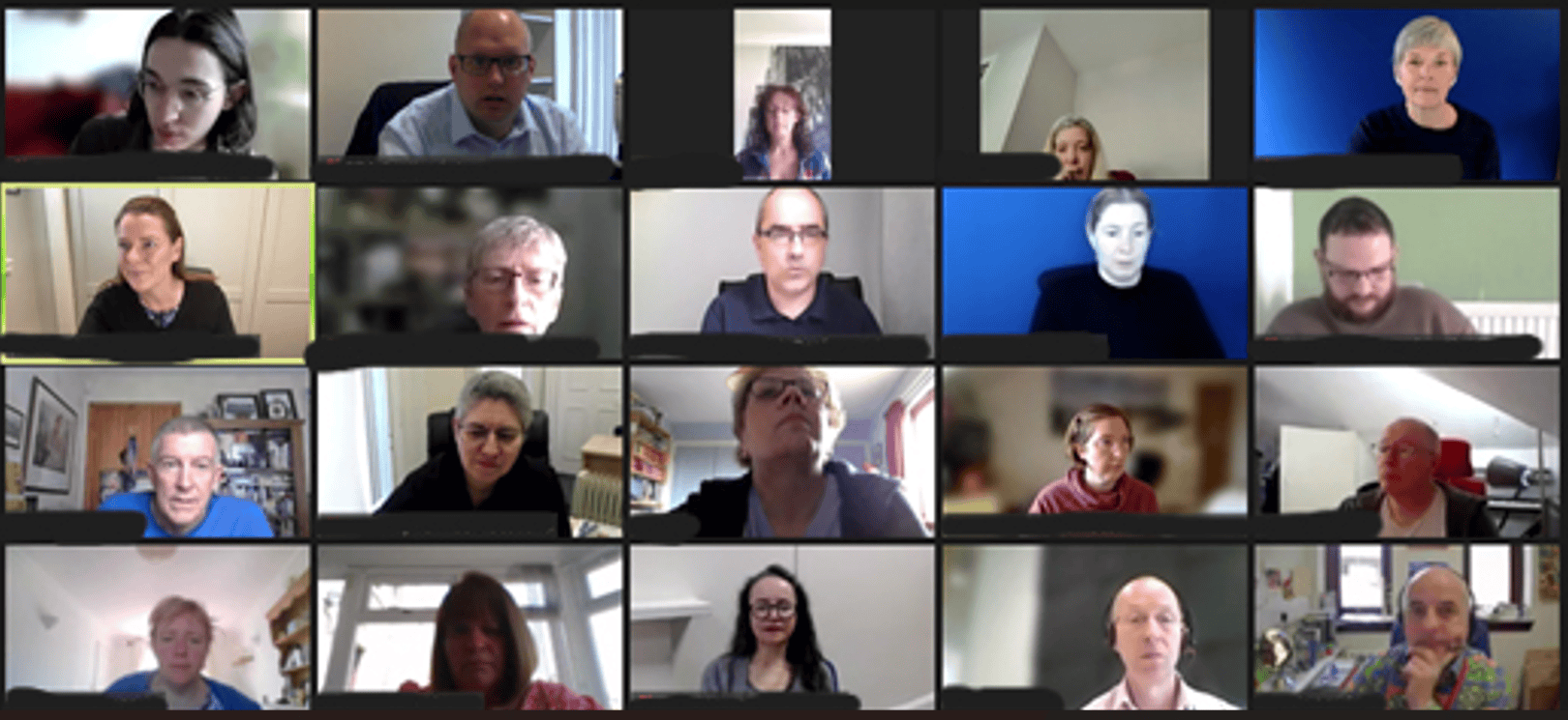 Participants in a virtual meeting discussing the BSL (Scotland) Act 2015.